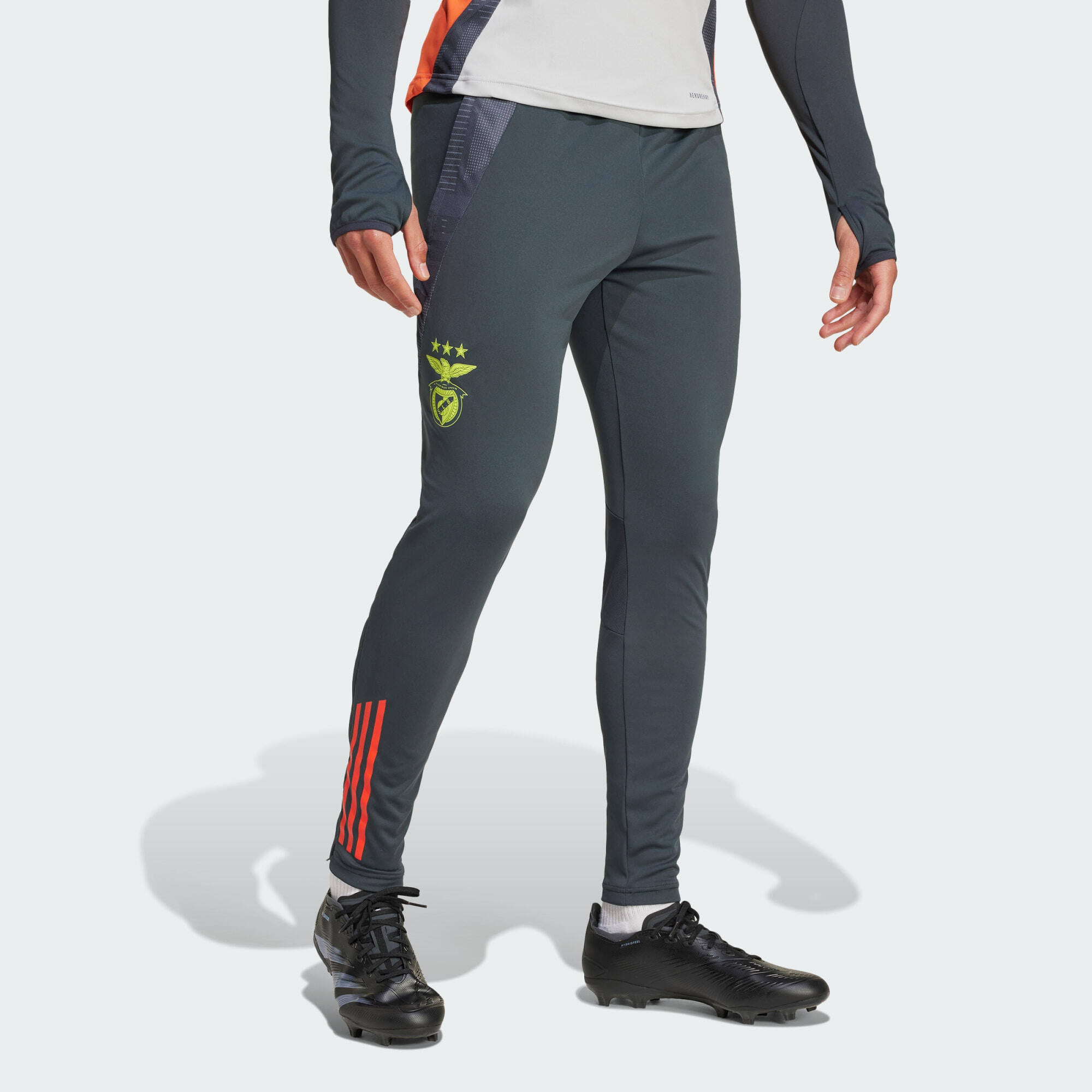 ADIDAS Benfica Tiro 24 Competition Training Broek
