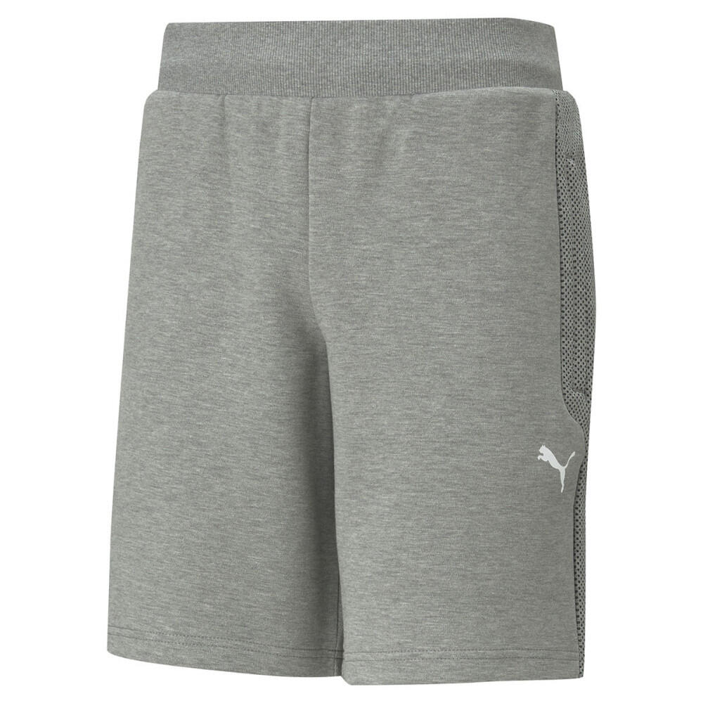PUMA picture