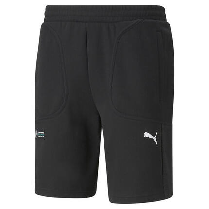 Short Puma MAPF1