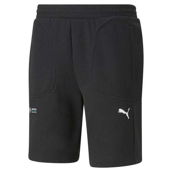 Short Puma MAPF1