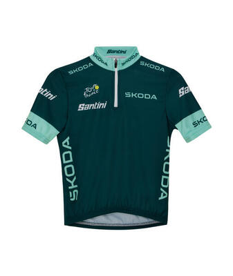 Beste sprinter - leiderstrui voor kinderen - groen - wielersport