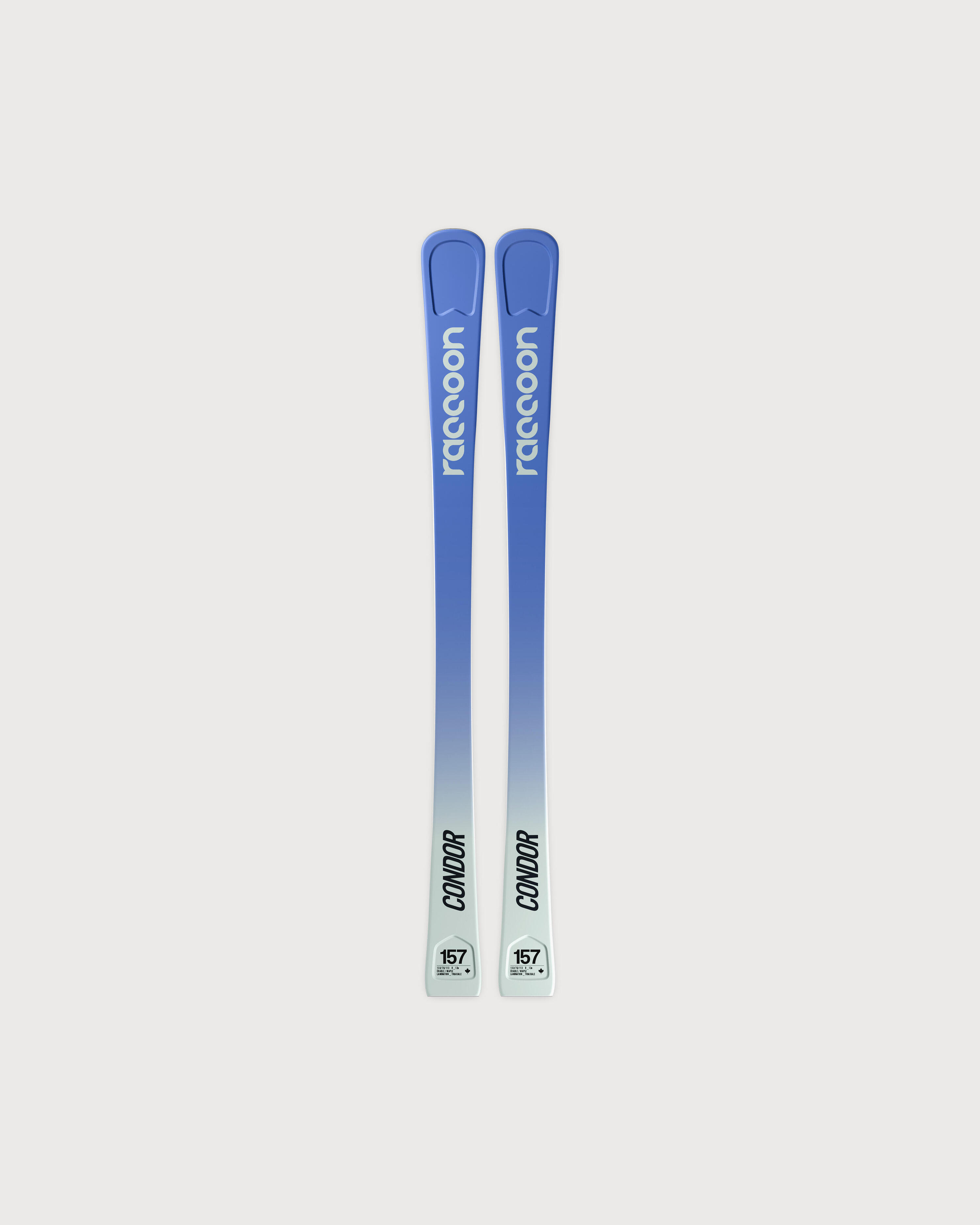 RACCOON RACCOON Condor maple women's skis OCEAN