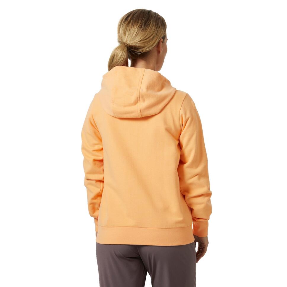 Bluza sportowa damska Helly Hansen Hh Logo Full Zip 2.0