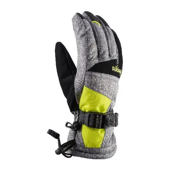 VIKING picture