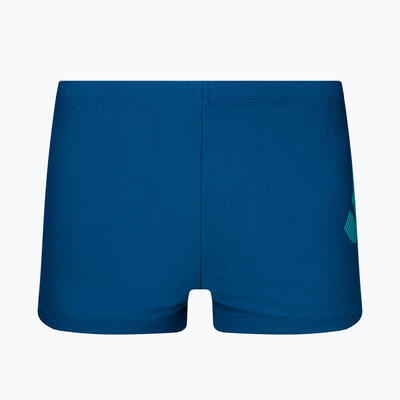 Nike tilt logo aquashort zwembroek voor heren