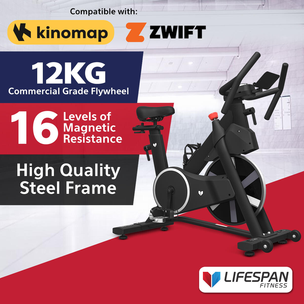 Lifespan Fitness SM-420 Spin Bike with Automatic Magnetic Resistance
