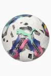 Puma Orbita 1 TB FQP Match Quality Pro Football Ball 2/5