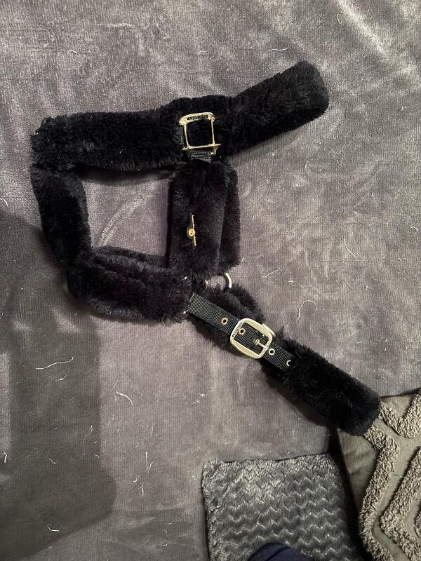 KENTUCKY HORSEWEAR picture