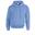 Unisex Adult Heavy Blend Hoodie (Carolina Blauw)