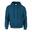 Unisex Adult Heavy Blend Hoodie (Antieke Saffier)