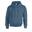 Unisex Adult Heavy Blend Hoodie (Indigoblauw)