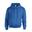 Unisex Adult Heavy Blend Hoodie (Koningsblauw)
