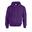 Unisex Adult Heavy Blend Hoodie (Paars)
