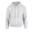 Unisex Adult Heavy Blend Hoodie (Asgrijs)
