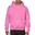 Unisex Adult Heavy Blend Hoodie (Azalea)
