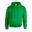 Unisex Adult Heavy Blend Hoodie (Iers Groen)