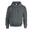 Unisex Adult Heavy Blend Hoodie (Houtskool)