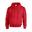 Unisex Adult Heavy Blend Hoodie (Rood)