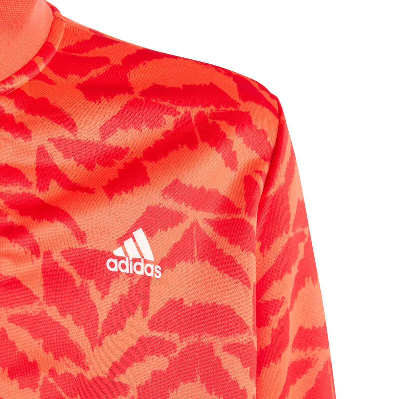 adidas Football Celebration Trainingspak