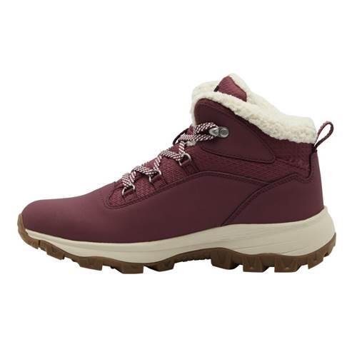 Buty do chodzenia damskie Jack Wolfskin Everquest Mid Texapore 3/5