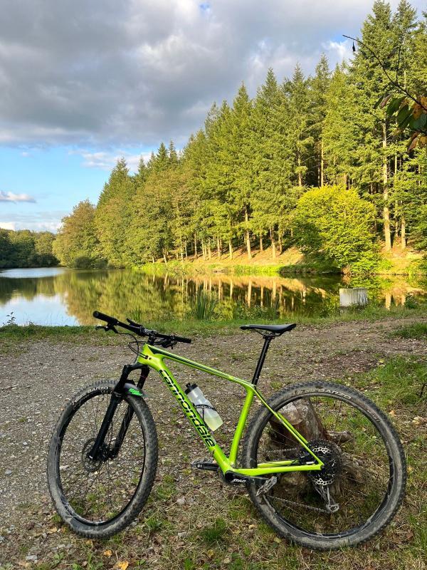 CANNONDALE picture