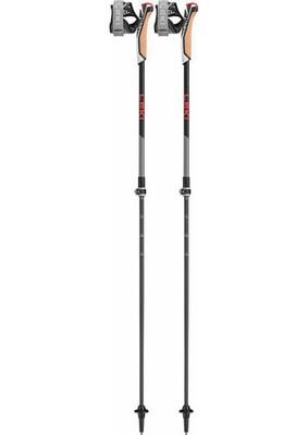 Nordic Walking Stöcke Instructor Lite