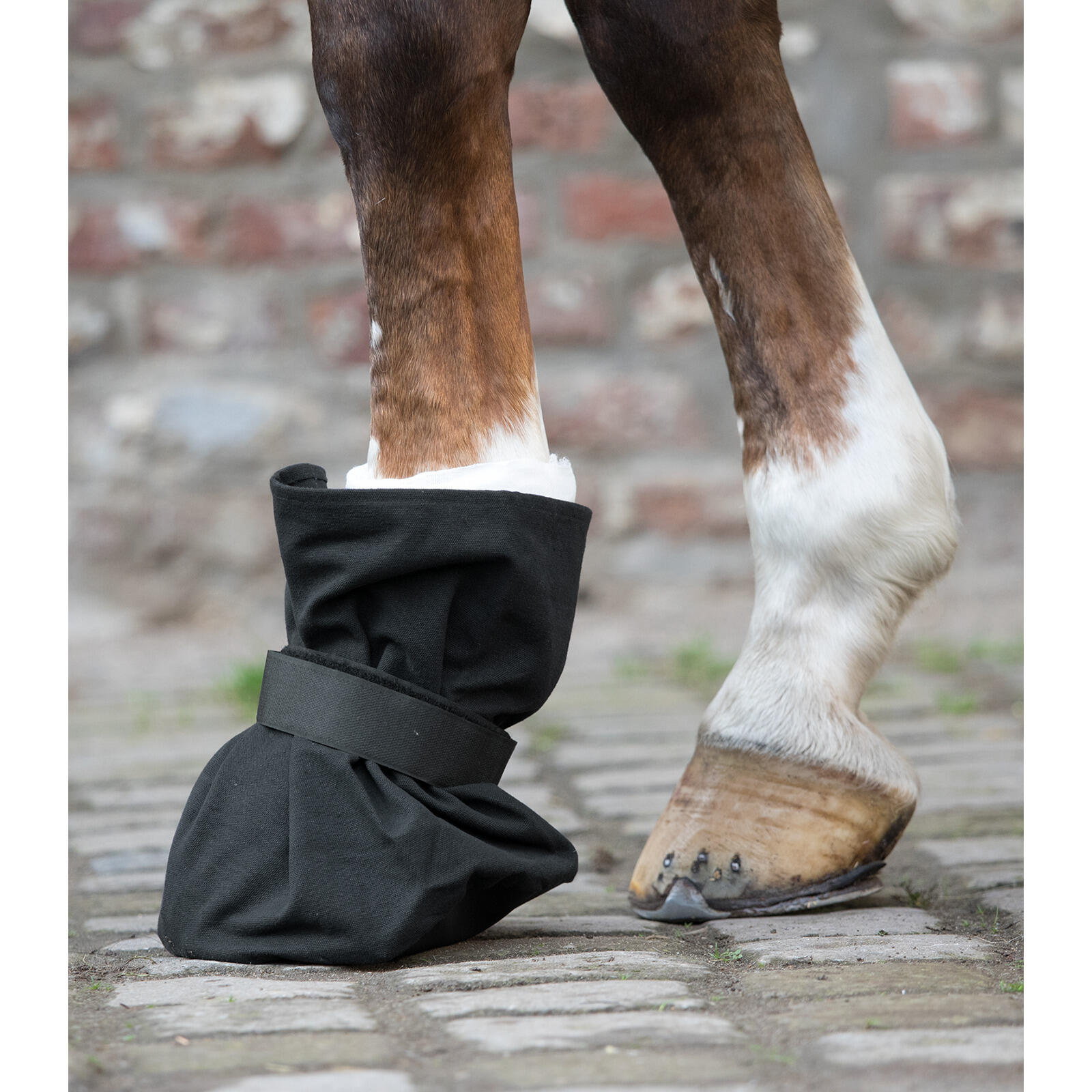 Hoof bandage protection Waldhausen 2/2