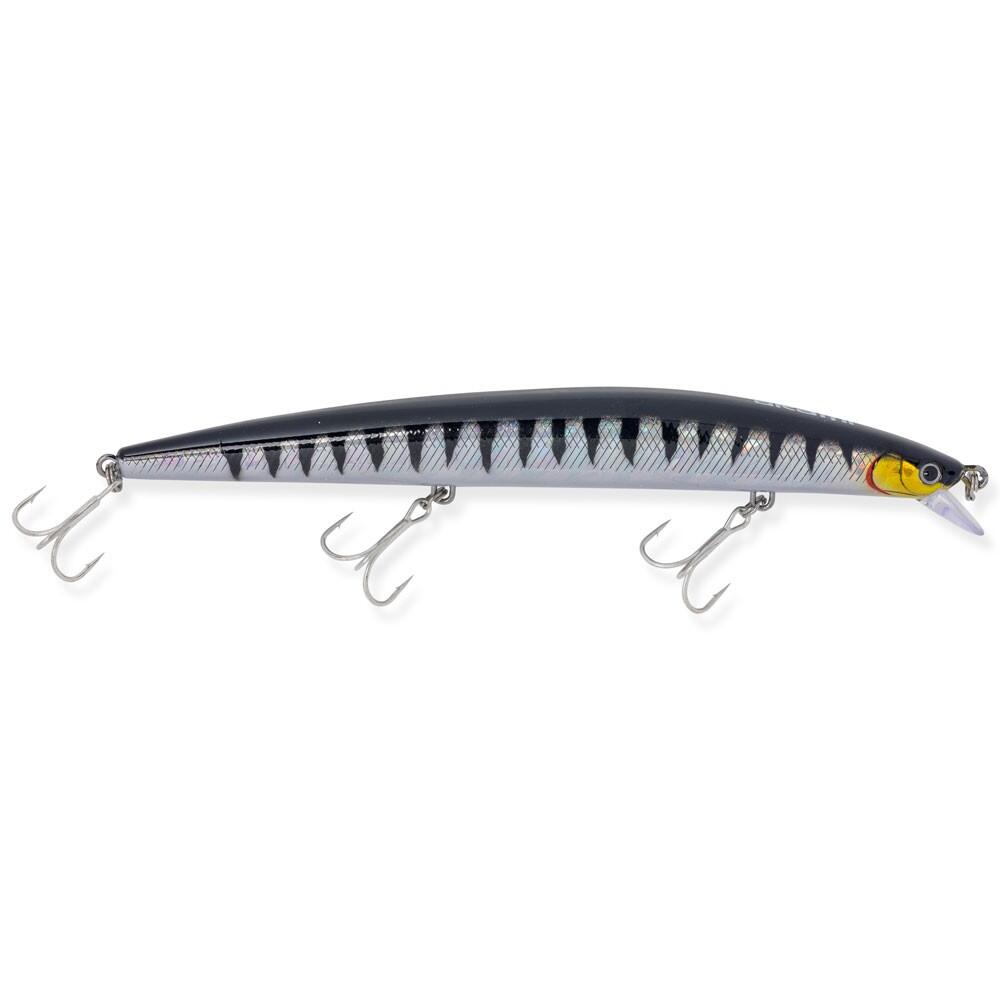 Hard Baits AKAMI INTRUDER 175 |MM 175 |COLOR KING CUDA 3/4