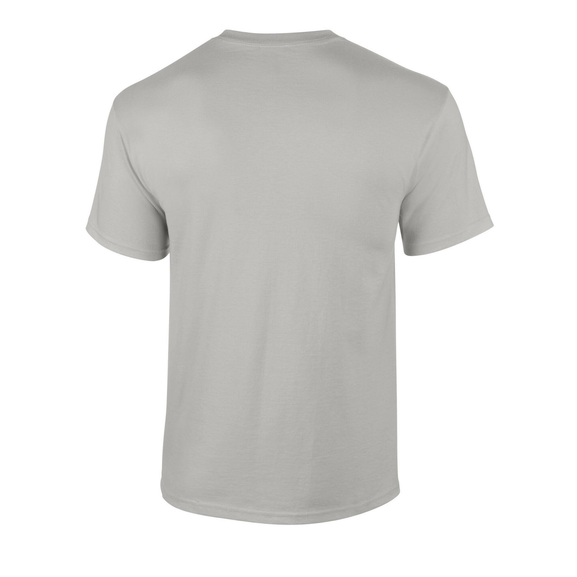 Tshirt Adulte (Gris Clair Pâle) 2/3