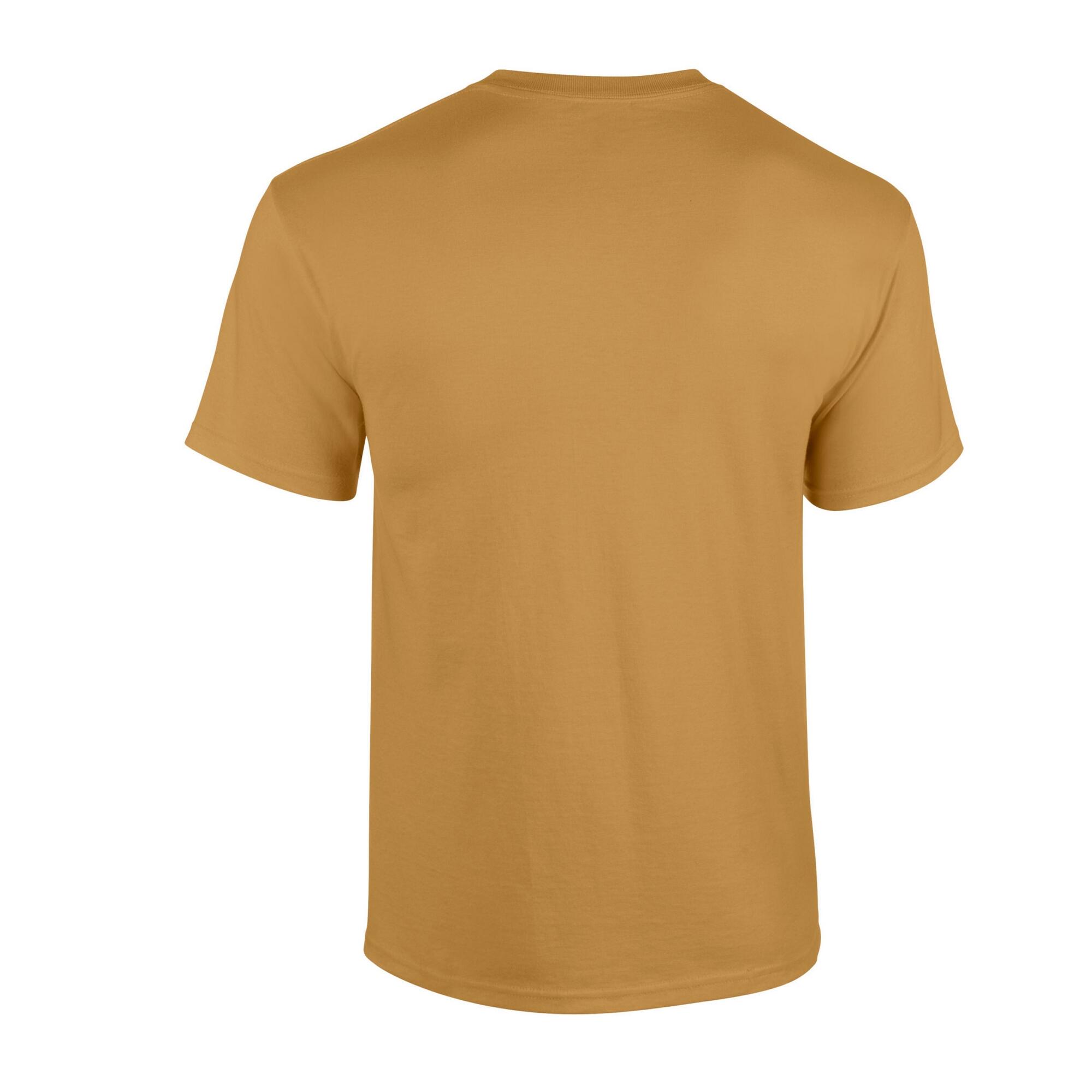 Tshirt Adulte (Vieux Doré) 2/3