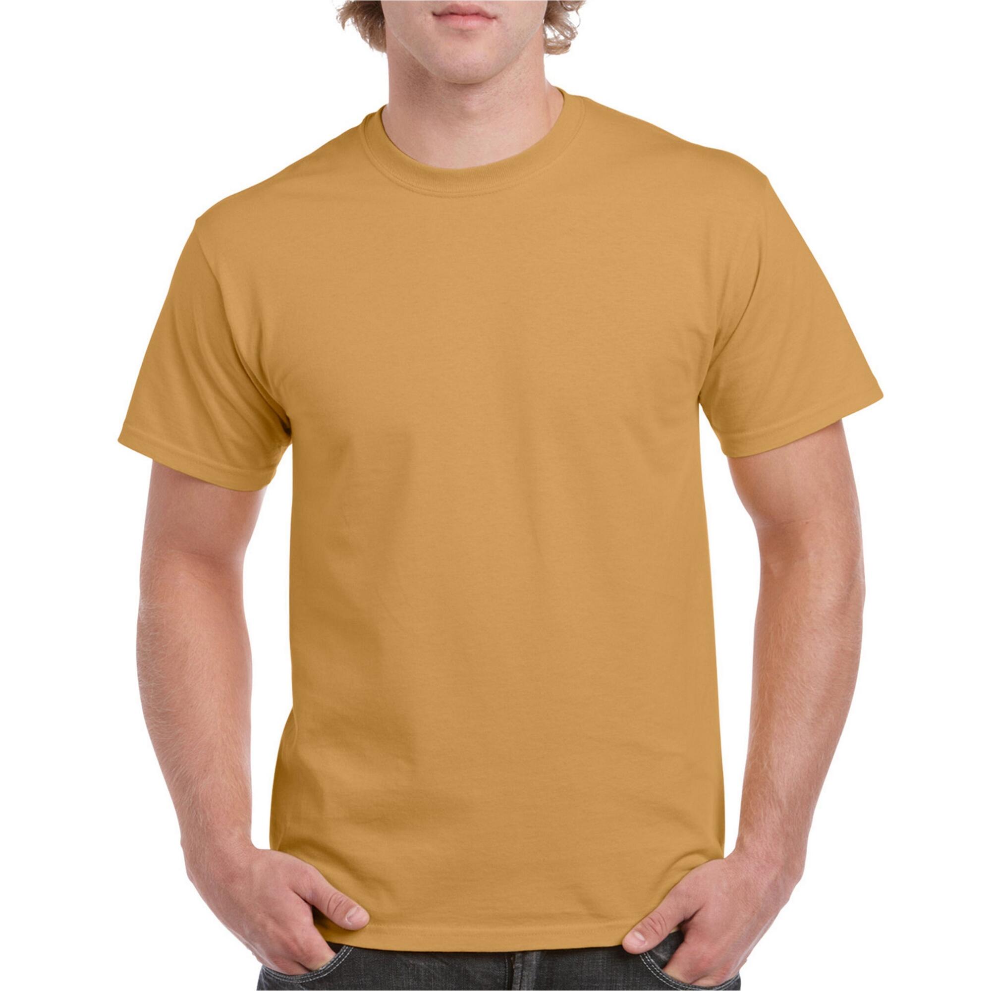 Tshirt Adulte (Vieux Doré) 3/3