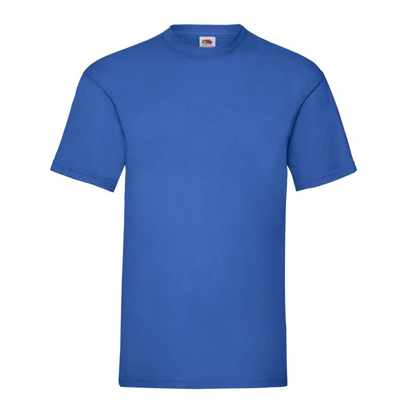 Tshirt VALUEWEIGHT Adulte (Bleu Roi)