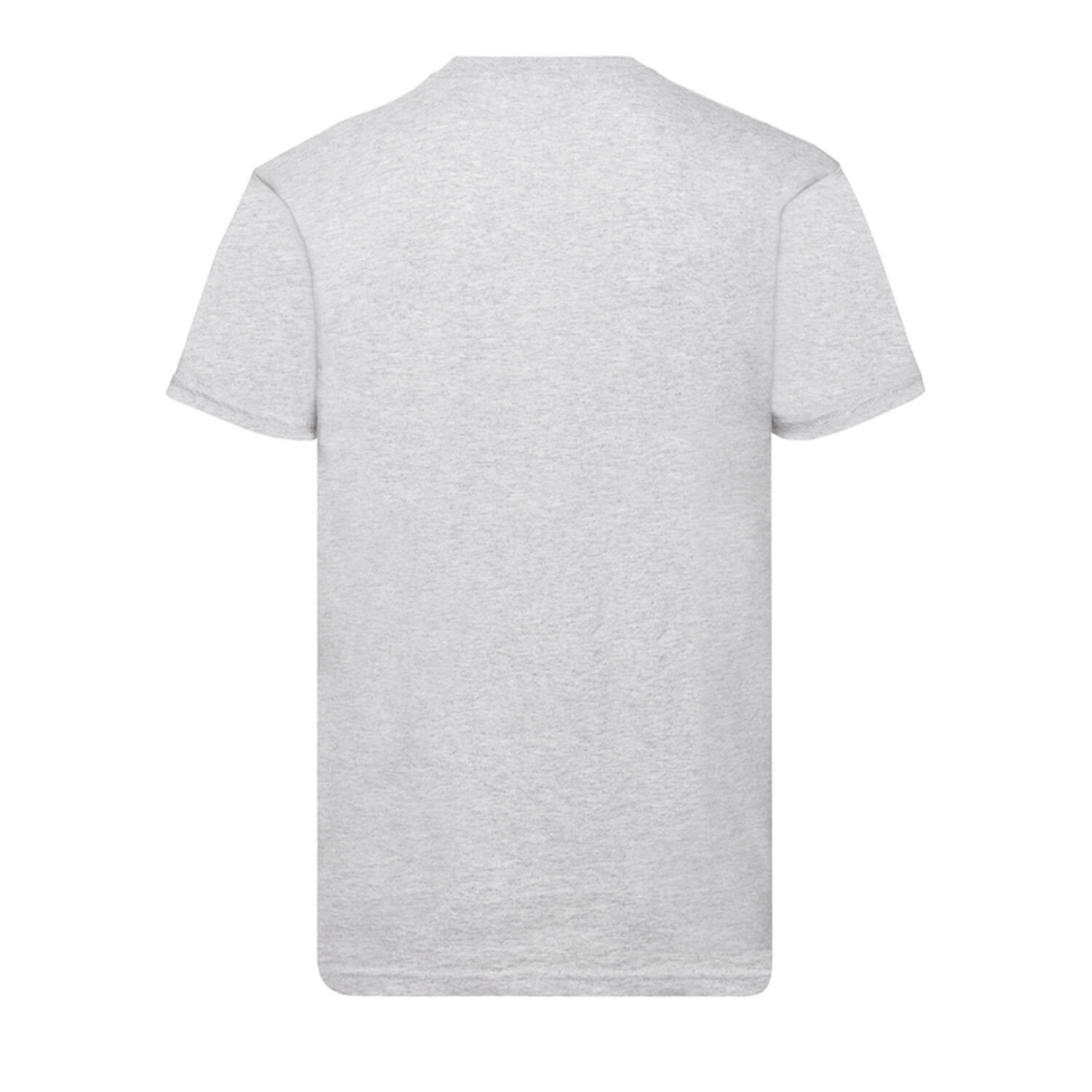 Tshirt VALUEWEIGHT Homme (Gris Chiné) 2/3