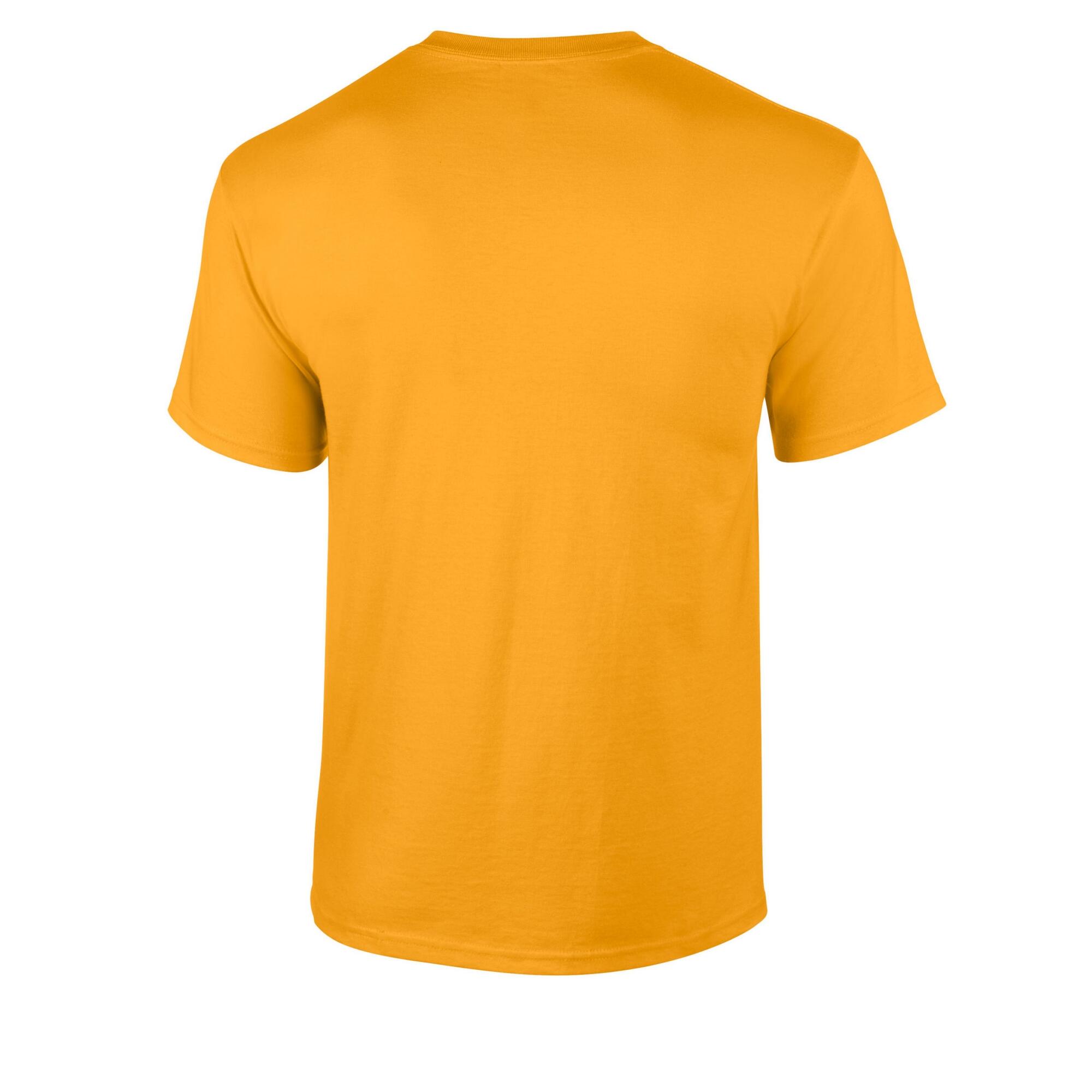 Tshirt Adulte (Jaune Or) 2/3