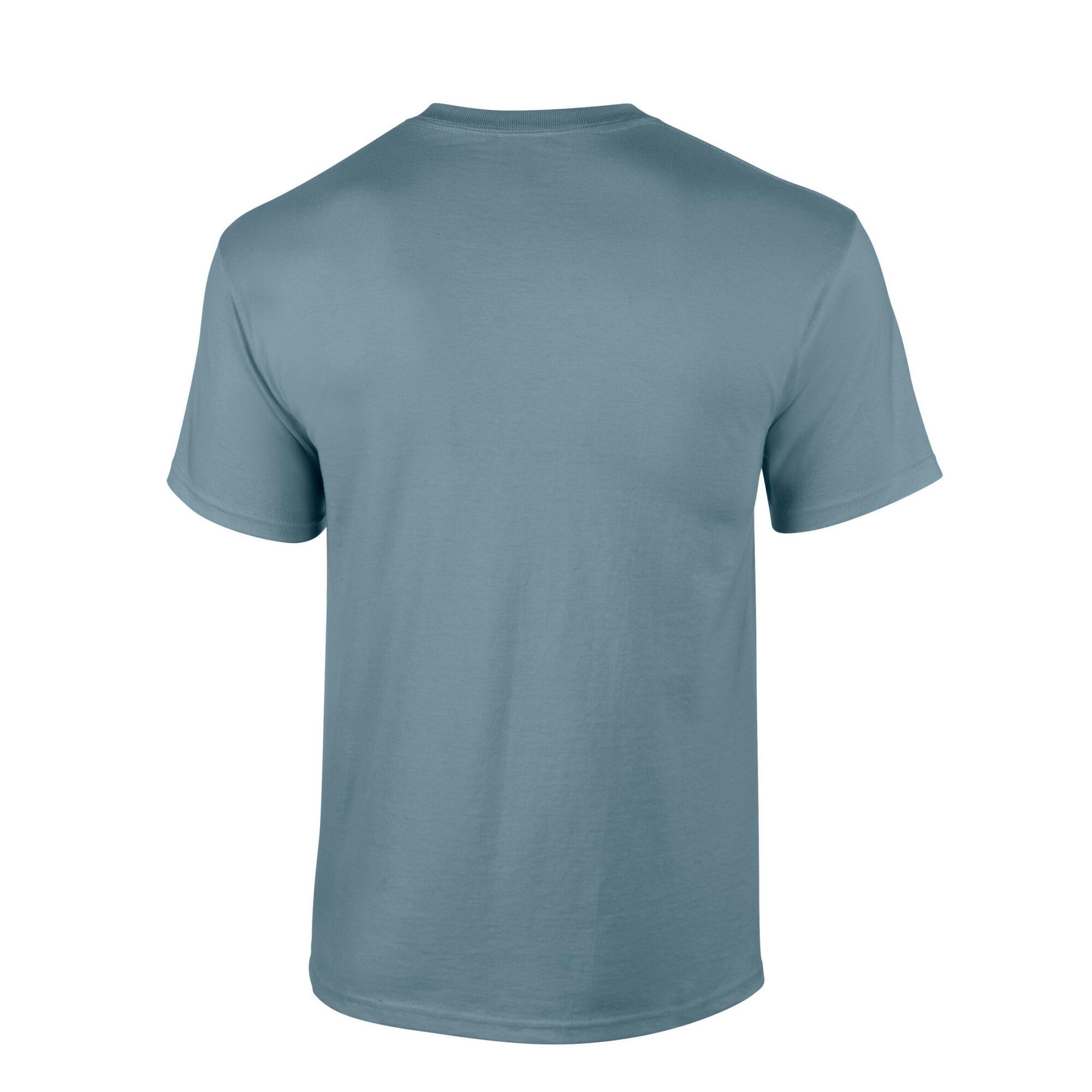 Tshirt Adulte (Bleu De Gris) 2/3