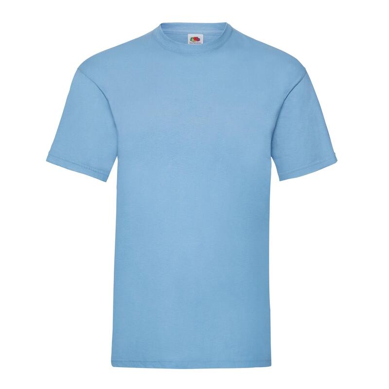 Tshirt VALUEWEIGHT Adulte (Bleu Ciel)