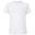 Tricou Drumeții În Natură Fruit Of The Loom Iconic 195 Premium Bărbați
