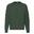 Camisola Raglan Clássica para HoHomem Verde Garrafa