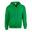 Veste À Capuche Adulte (Vert Irlandais)