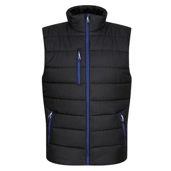 Veste Sans Manches NAVIGATE Homme (Noir / Bleu Roi)
