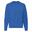 Camisola Raglan Clássica para HoHomem Azul Real