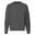 Camisola clássica com raglan para homem Cinzento Escuro Mesclado