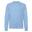 Sweat CLASSIC Adulte (Bleu Ciel)