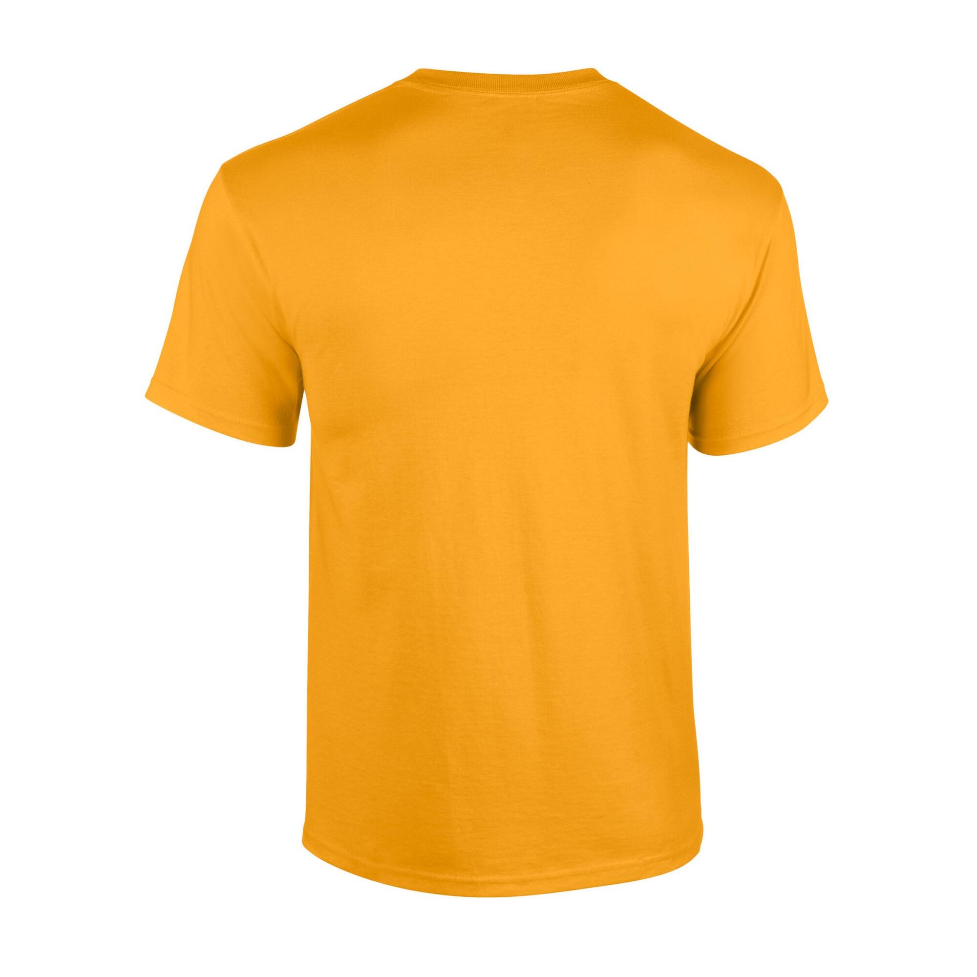 Tshirt Adulte (Jaune Or) 2/3