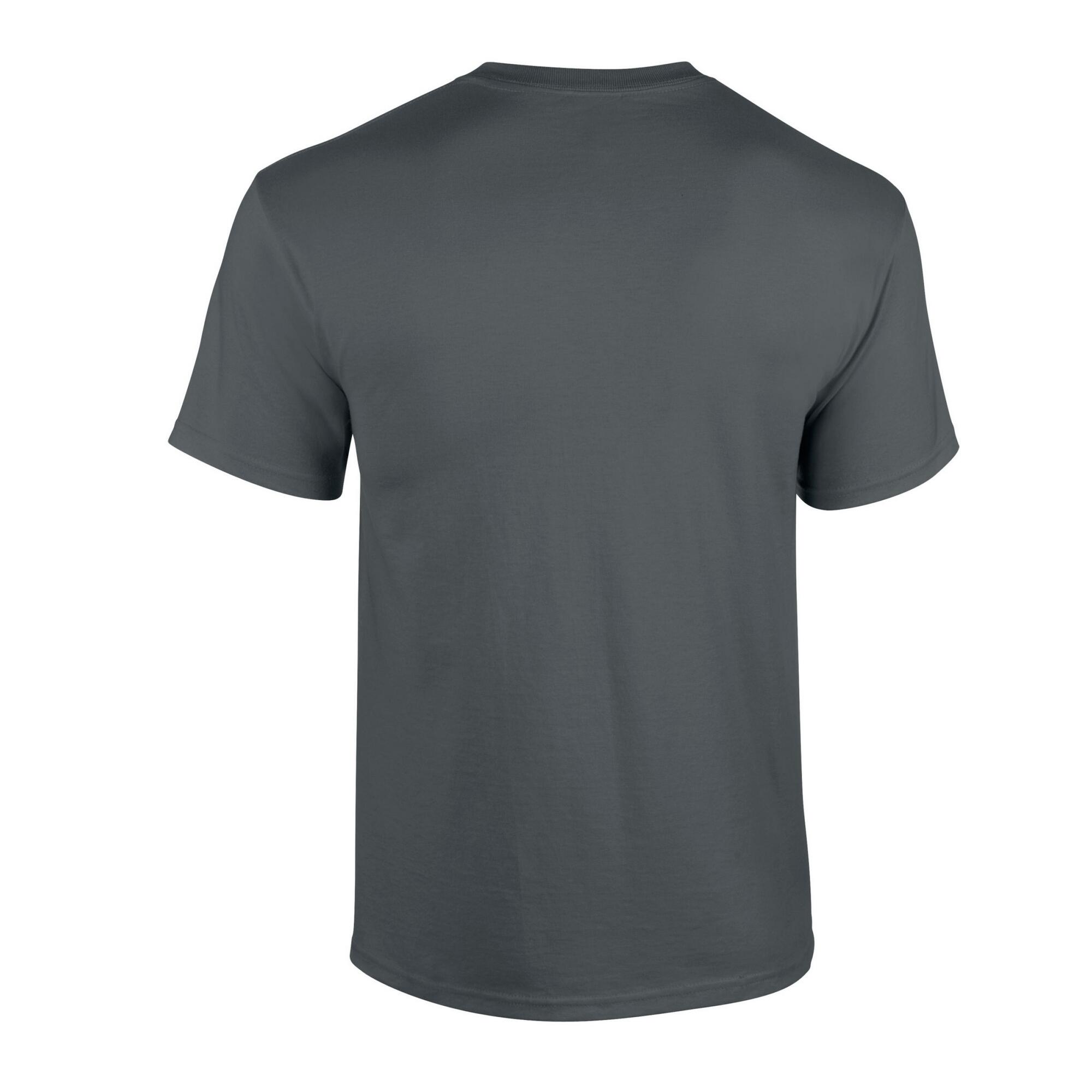 Tshirt Adulte (Charbon) 2/3