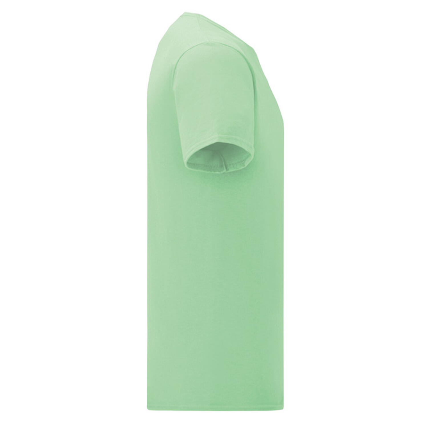 Tshirt ICONIC Homme (Vert Pâle) 3/3
