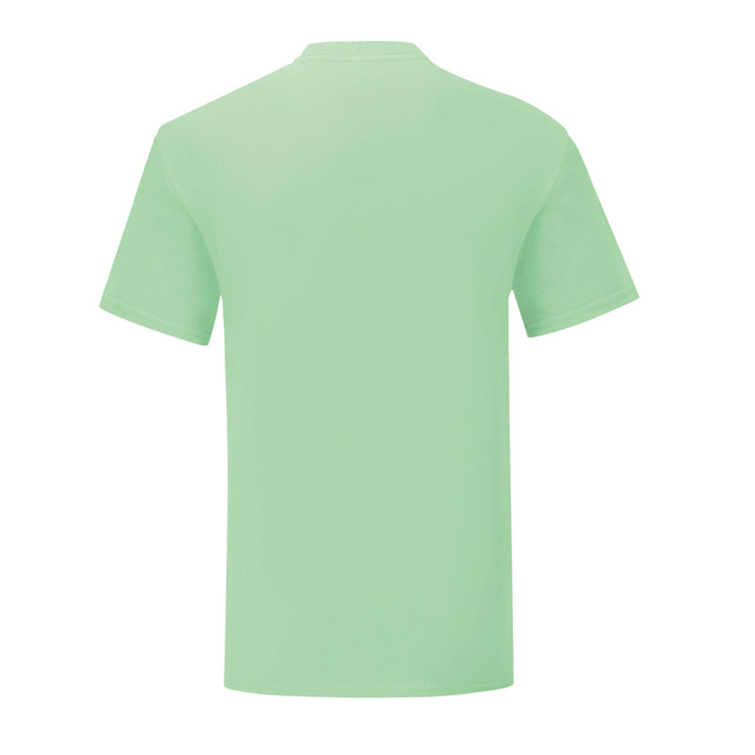 Tshirt ICONIC Homme (Vert Pâle) 2/3