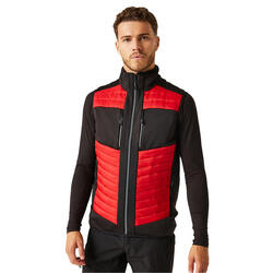 Veste Sans Manches EVOLVE HYBRID Homme (Rouge Classique / Noir)