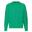 Camisola Raglan Clássica para HoHomem Kelly Green