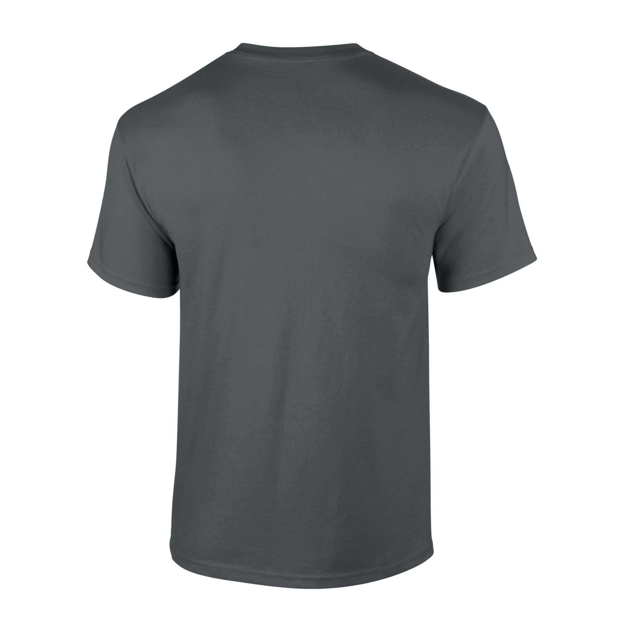 Tshirt Adulte (Charbon) 2/3